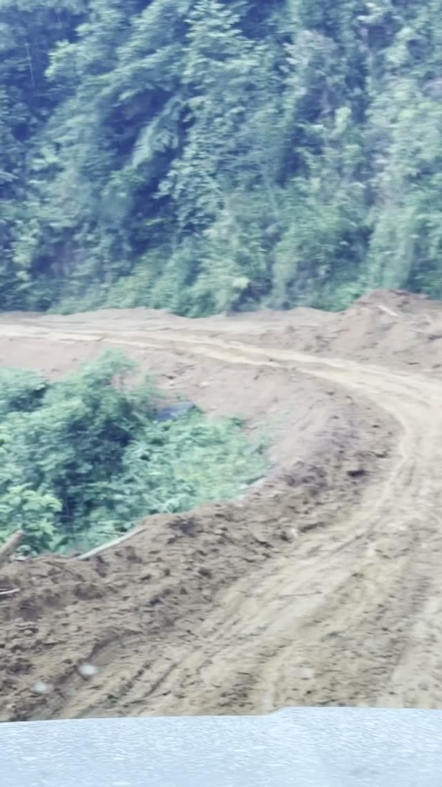 Muddy Switchback Through Jungle