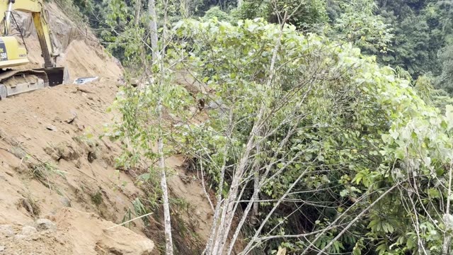 Excavator Behind Green Foliage