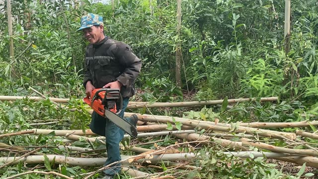 Logger Carrying A Chainsaw