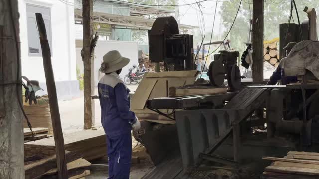 Operating Timber Bandsaw Machine