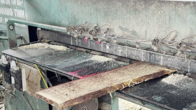 Sawmill Cutting Table Close Up