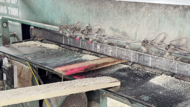 Sawdust On Saw Machine