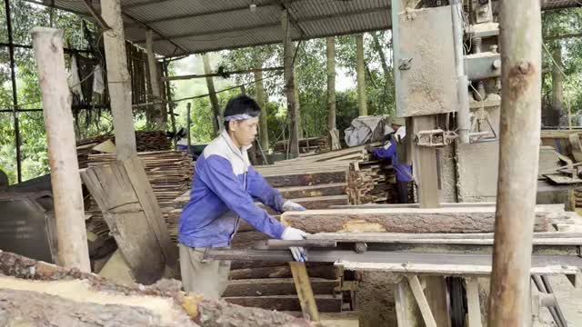 Worker Cutting Timber Plank