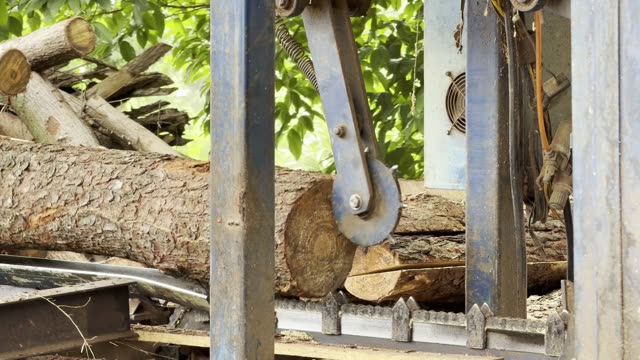 Circular Saw Cutting Log