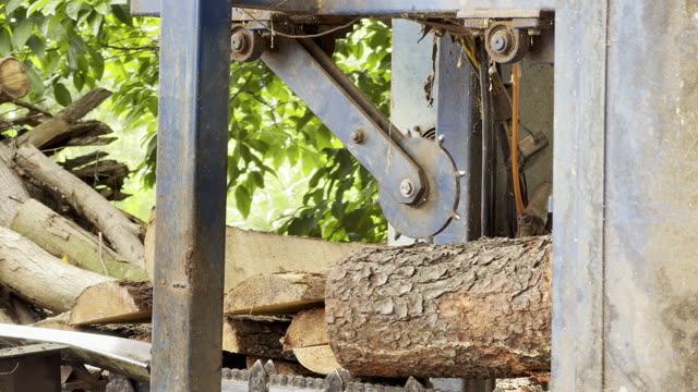 Sawmill Blade Slicing Timber