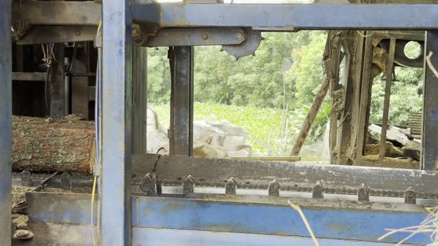 Sawmill Machine At Work