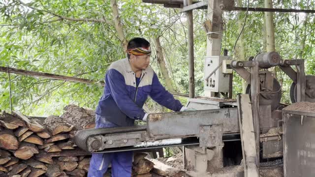 Worker Feeding Wood Debarker