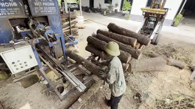 Worker Loading Logs Onto Saw