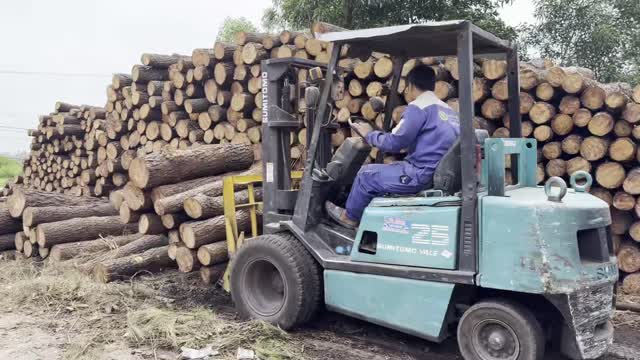 Forklift Beside Huge Log Piles