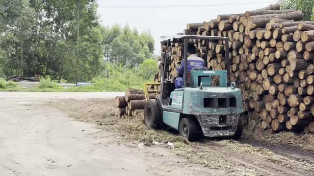 Forklift At Timber Log Yard