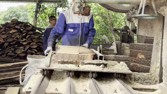 Sawmill Workers Cutting Logs
