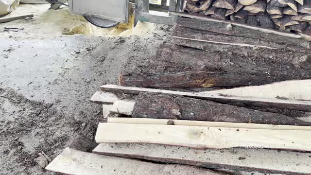 Freshly Sawn Timber Planks