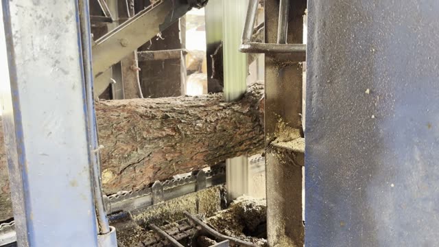 Log Through Sawmill Machine