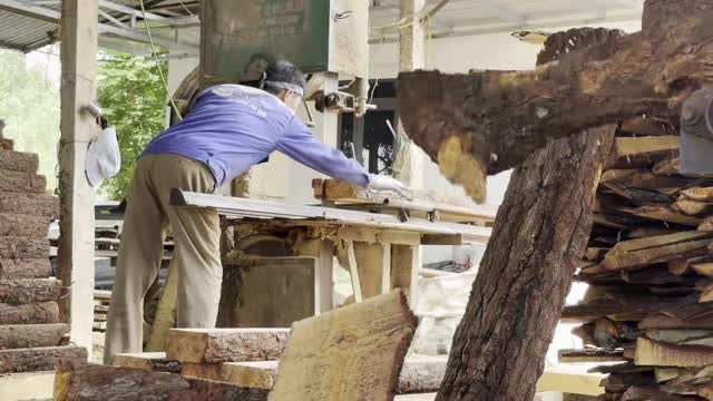 Worker Guiding Bandsaw Cut