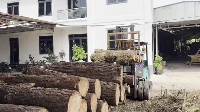 Forklift Carrying Log By Building