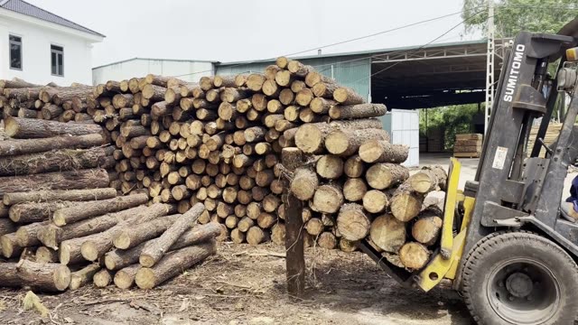 Log Pile And Forklift