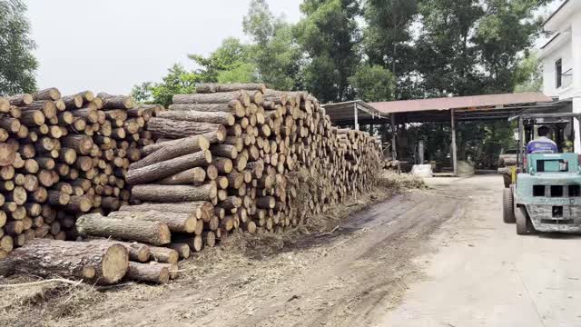 Timber Yard Road Overview