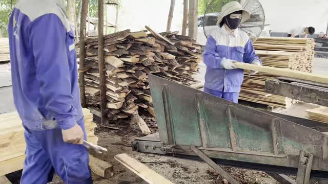 Sorting Cut Timber Strips