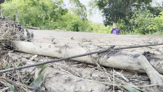 Cut Logs And Cable