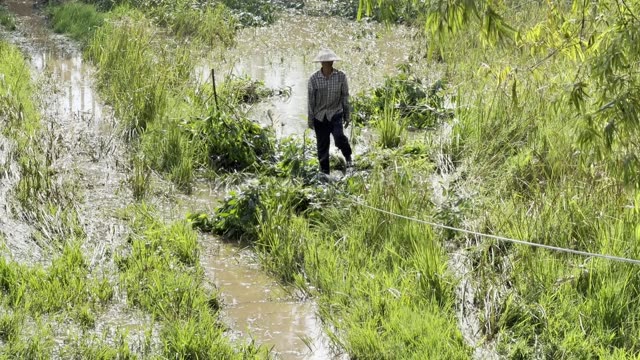 Pulling Branches In Ditch