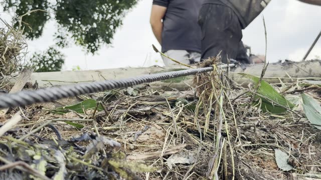 Cut Branches And Cable