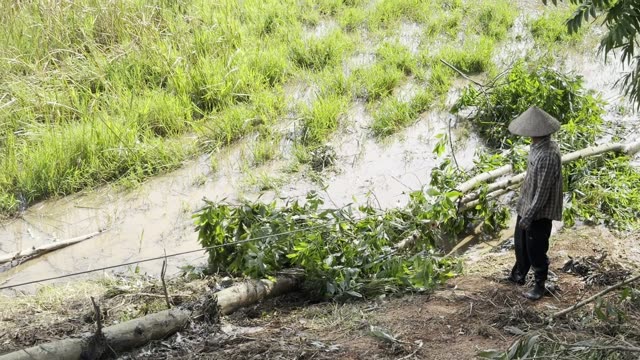Worker By Flooded Ditch