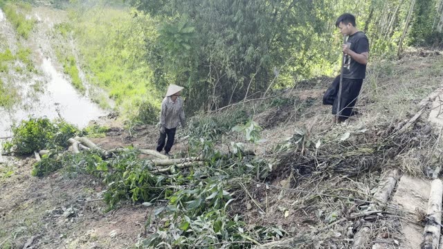 Two Workers Clearing Slope