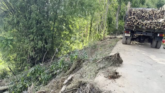 Loaded Log Truck On Track