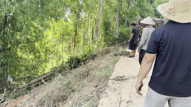 Walking To The Log Truck