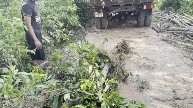 Man By The Log Truck