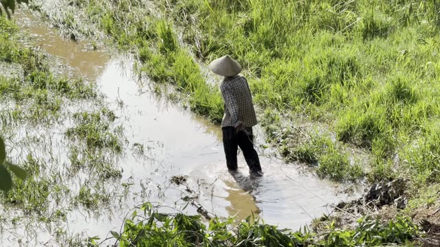 Farmer Wading The Ditch
