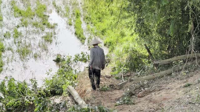 Farmer Along Pond Bank