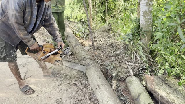 Chainsawing A Log