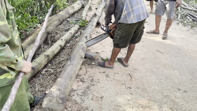 Cutting Logs On The Road