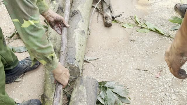 Hands Steady The Log