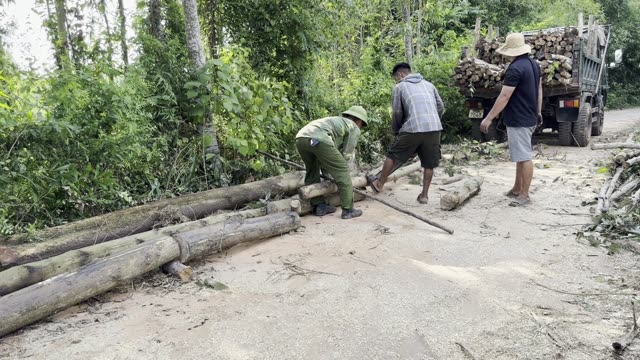 Working The Cut Logs