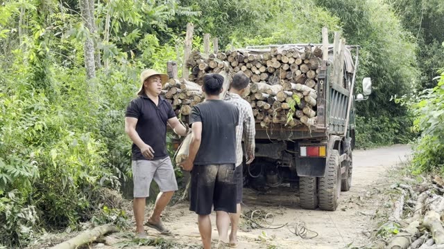 Moving A Log