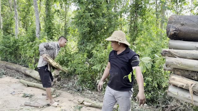 Carrying A Log On The Path