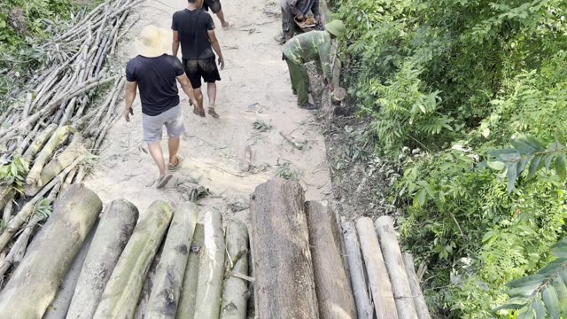 Up The Logging Path