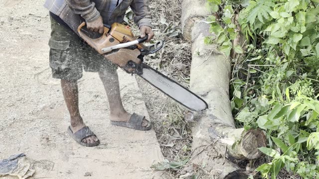 Felling With A Chainsaw