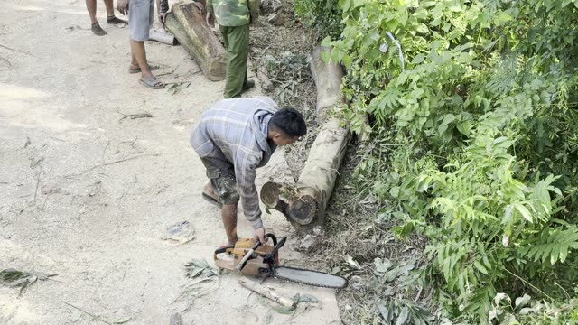Sawing A Roadside Log