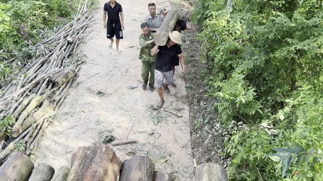 Log Up The Sandy Path