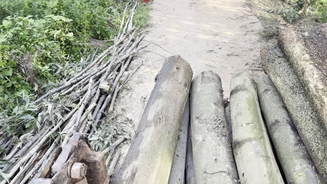 Over The Loaded Logs