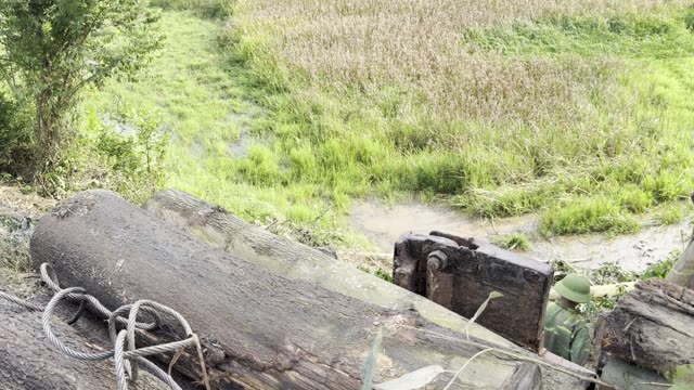 Cabling A Log By The Paddy