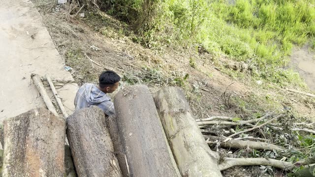Leaning On The Big Logs