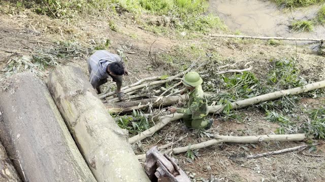 Clearing By The Log