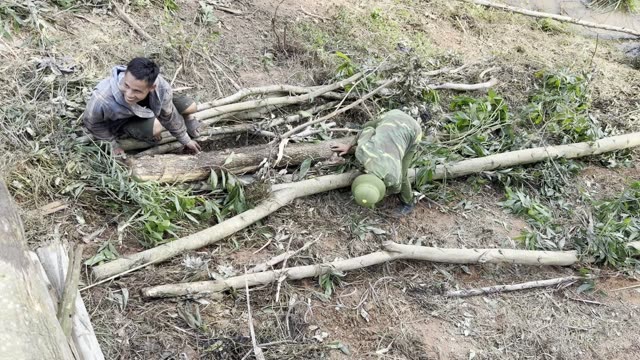 Trimming Branches By Log