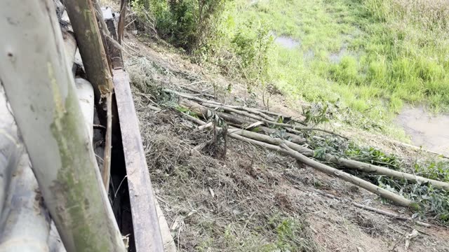 Over Logs To The Field