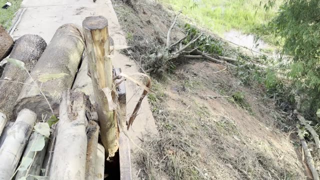 Loaded Logs And Stake