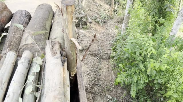 Logs Above The Slope